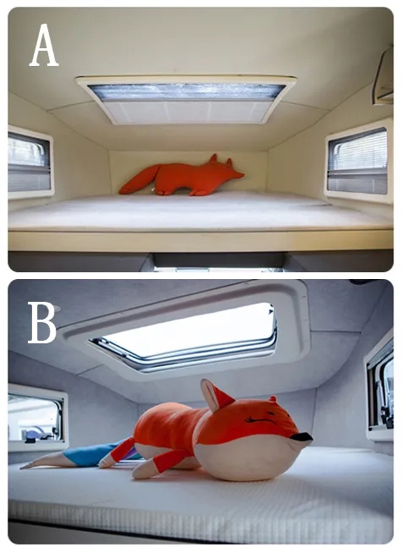 哪款自由炮和您更般配？